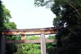 Torii gates mark internet sites of Shinto worship.