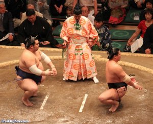 Twisted Sumo Wrestler